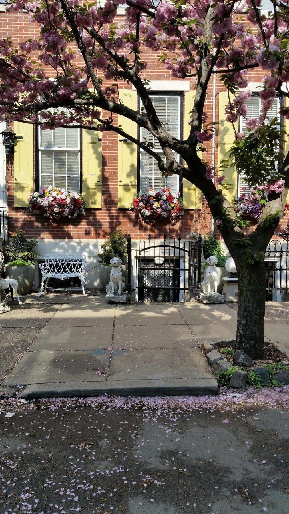 The Philadelphia Hotel Bella Vista Exterior photo